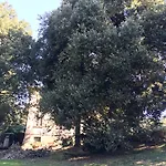 La Dogana *